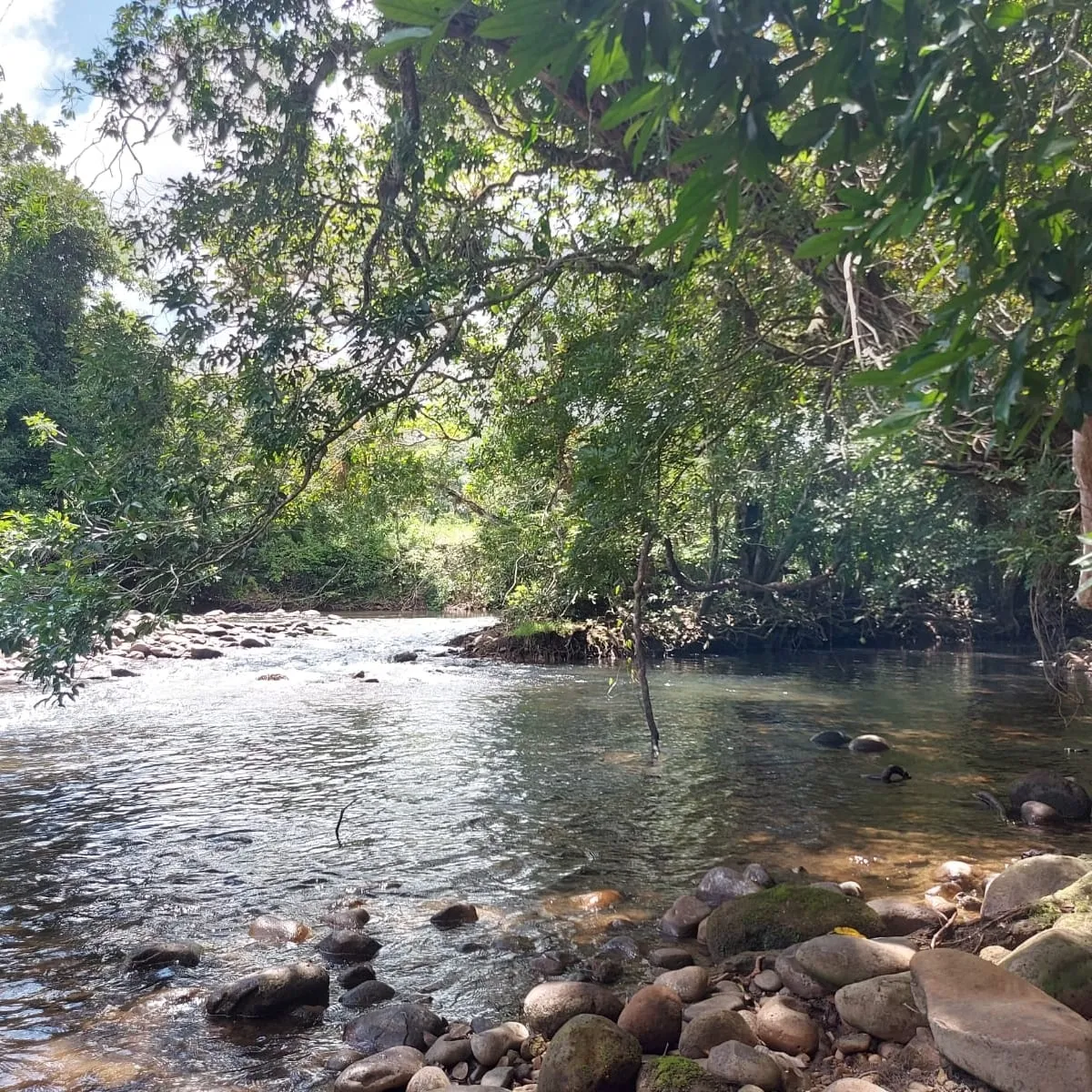 Terreno/Granja en Venta en Boquete
