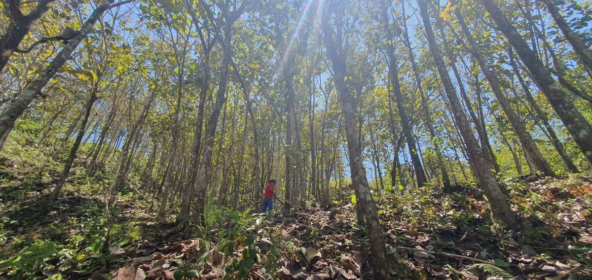 Disfrute de lo mejor de un paisaje tropical, ¡una propiedad con su pro...