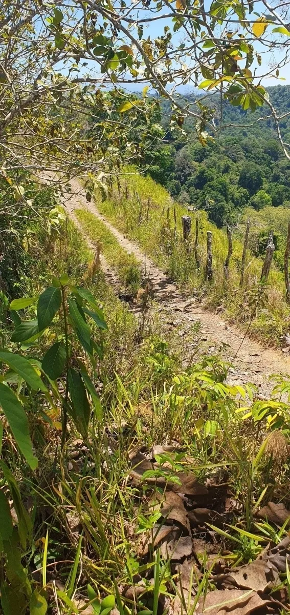Disfrute de lo mejor de un paisaje tropical, ¡una propiedad con su pro...