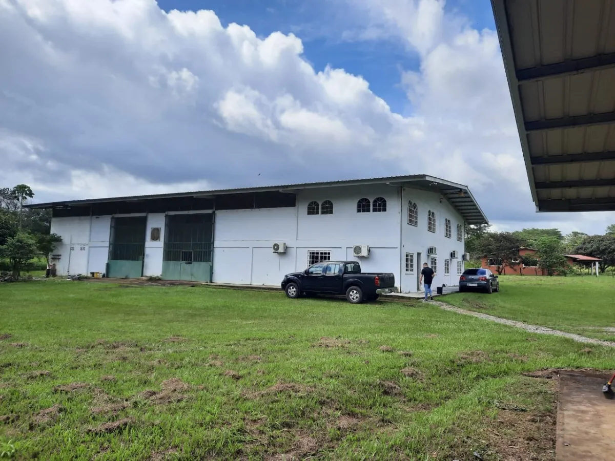 Enorme taller, oficinas y casa en un gran terreno