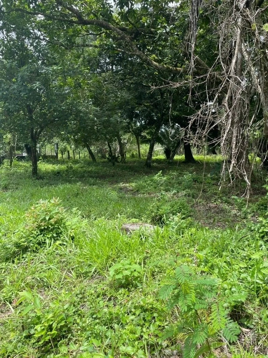 3 romantic lots near Dolega, Boquete