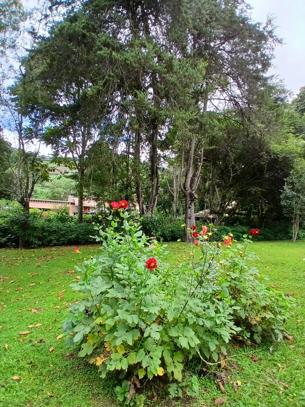 Beautiful park property in a refreshing high-altitude location