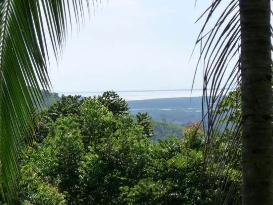 Se vende lote edificable en la montaña