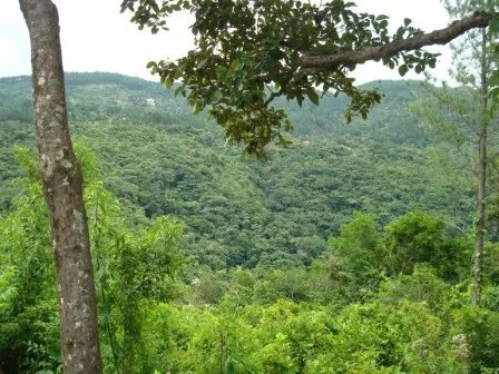 Lote hermoso en el area de valencia, altos del maria. precio reducido y negociable!