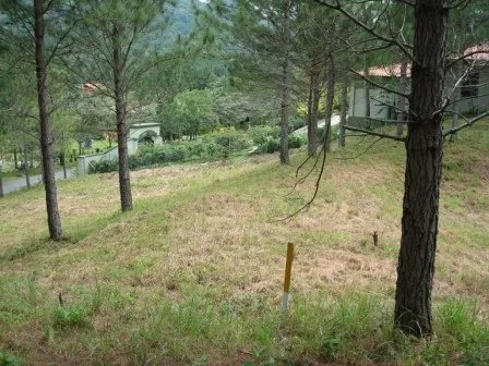 Lote hermoso en el area de valencia, altos del maria. precio reducido y negociable!