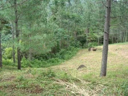 Lote hermoso en el area de valencia, altos del maria. precio reducido y negociable!