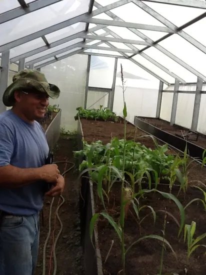 Un lugar de curación o una hermosa residencia en fresco volcán