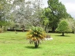 Un lugar de curación o una hermosa residencia en fresco volcán