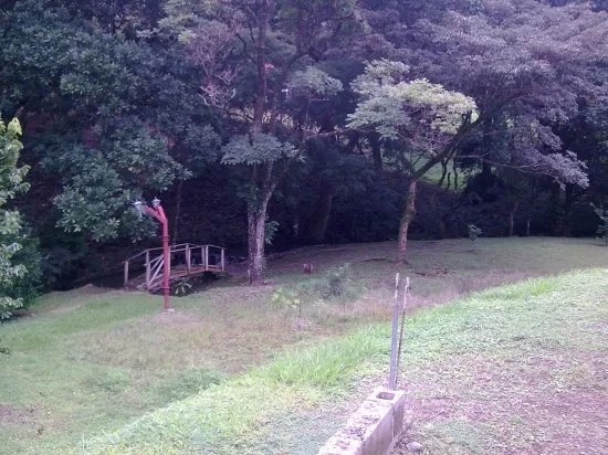 Casa amplia y confortable en alquiler en altos del maria