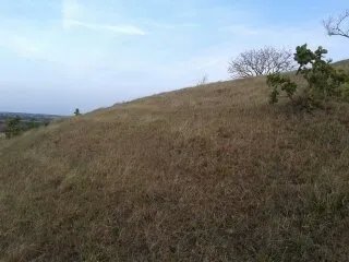 6313 mt2 titulados, vistas al mar, peninsula de azuero, las tablas