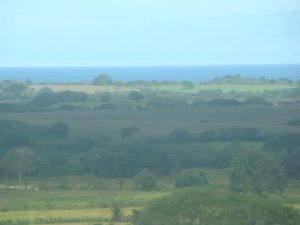 138871 - Las Tablas - lots - cerro canajagua