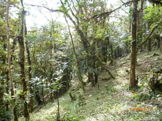 Lote en altos del mar