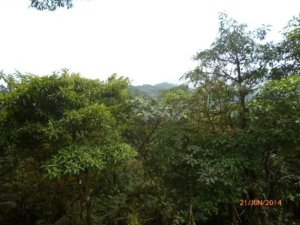 138875 - Altos del maria - lots