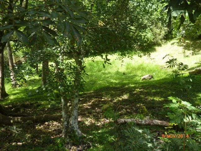 Lote plano en la atractiva zona de toscana en altos del mar