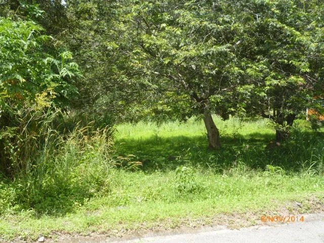 Lote plano en la atractiva zona de toscana en altos del mar