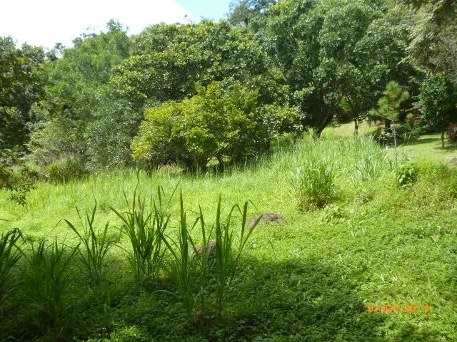 Lote plano en la atractiva zona de toscana en altos del mar