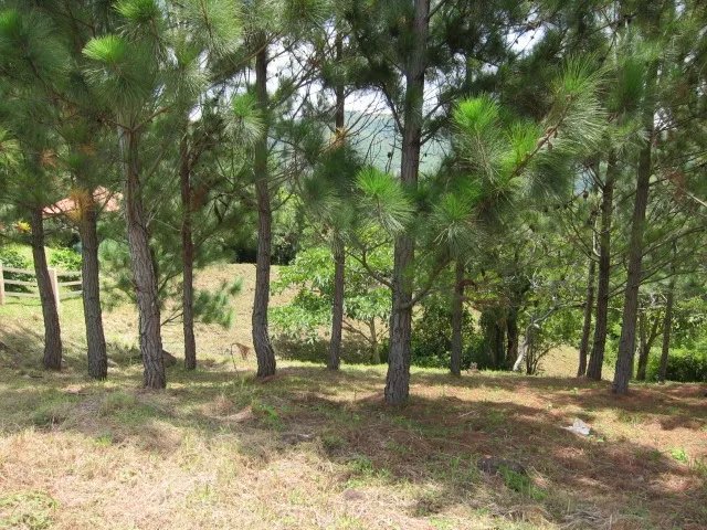 Vistas al valle y el oc