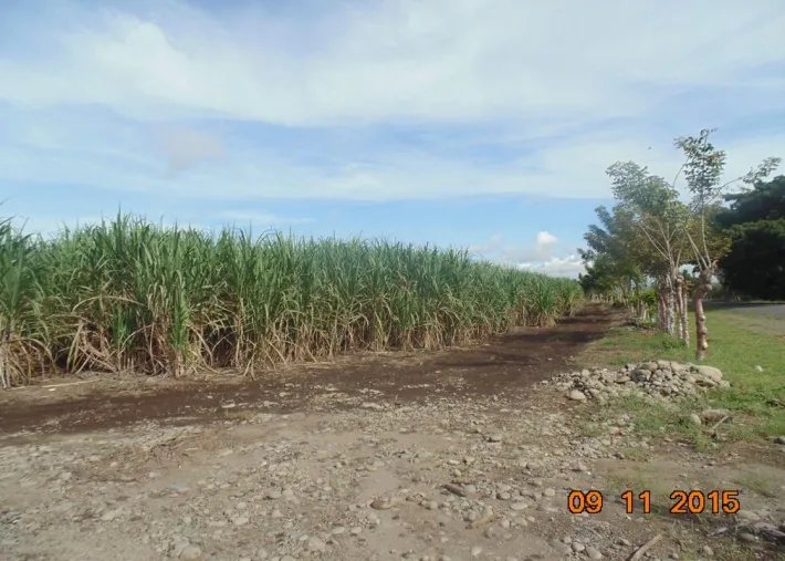 Lote comercial en venta en david