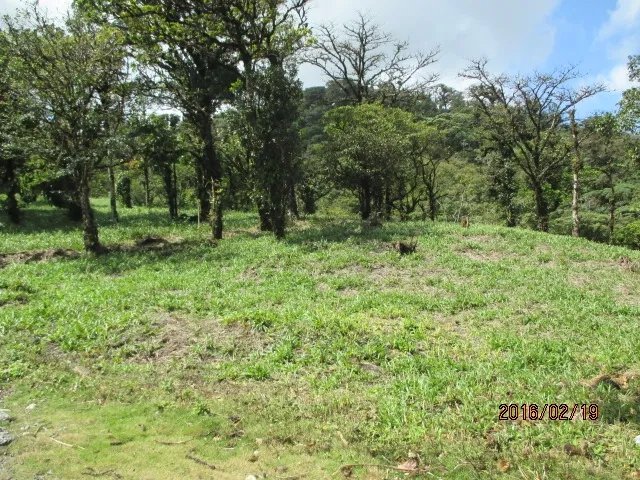 Lote plano en las monta