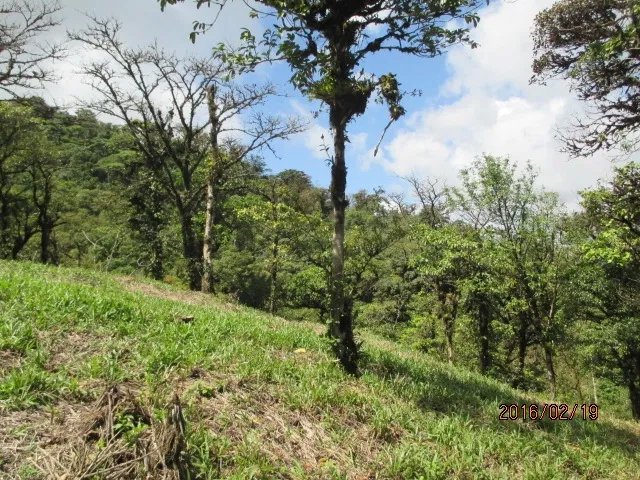 Lote plano en las monta