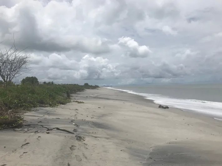 Lote frente al mar, titulada con 2000 m2 en venta en punta chame