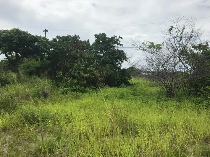 Lote cerca de la playa en venta en punta chame