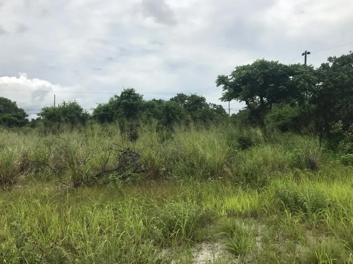 Lote cerca de la playa en venta en punta chame