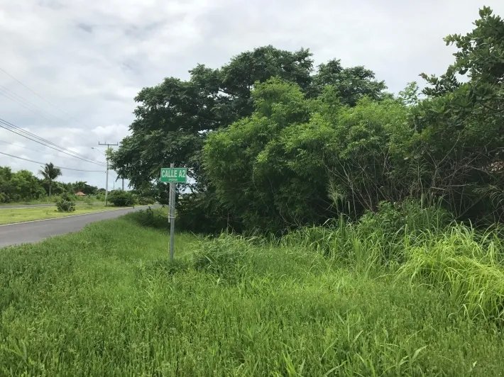 Lote para la venta en el bulevar principal de punta chame, a pocos minutos a pie de la playa