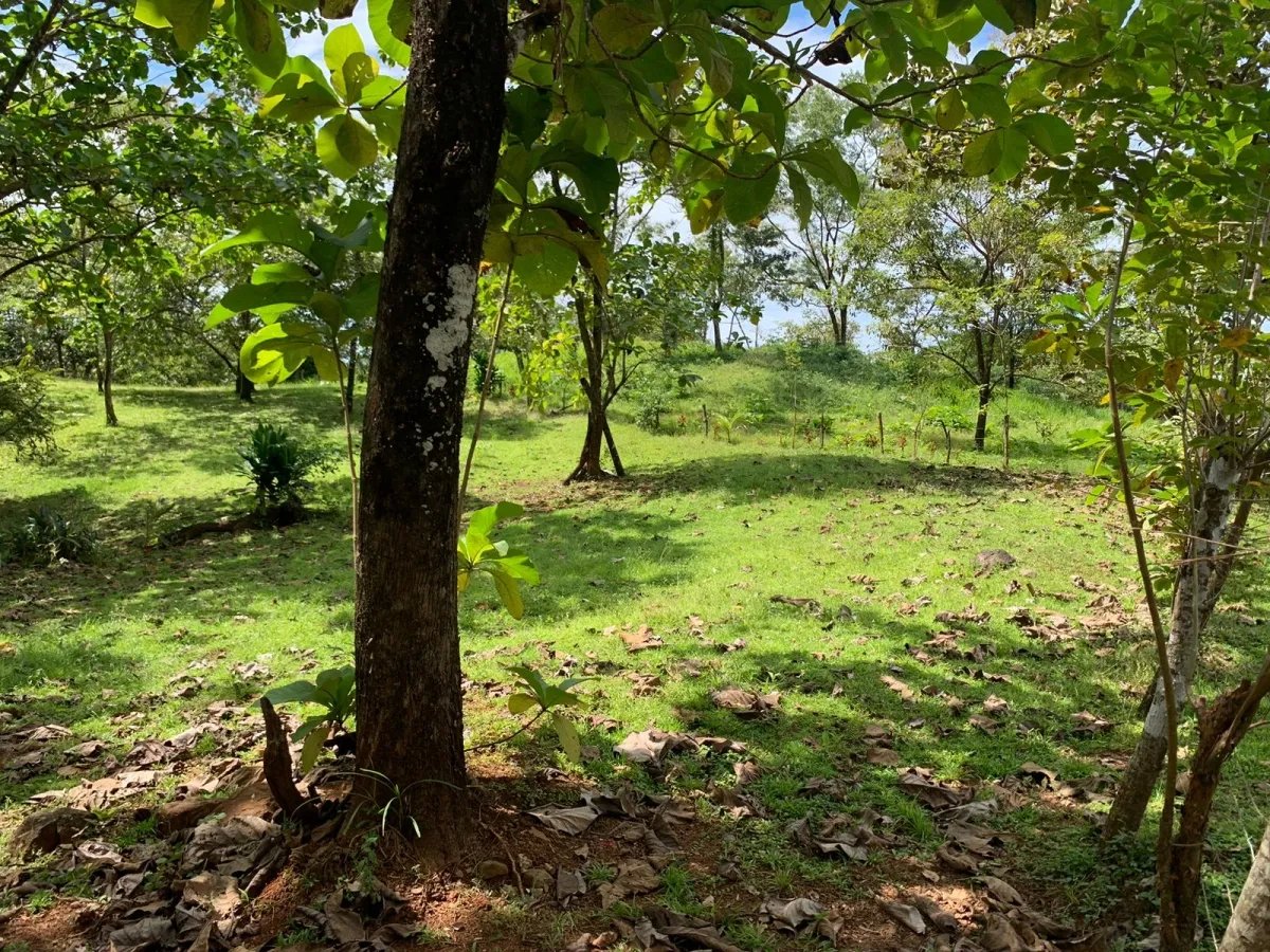 Lote a la venta en santa catalina