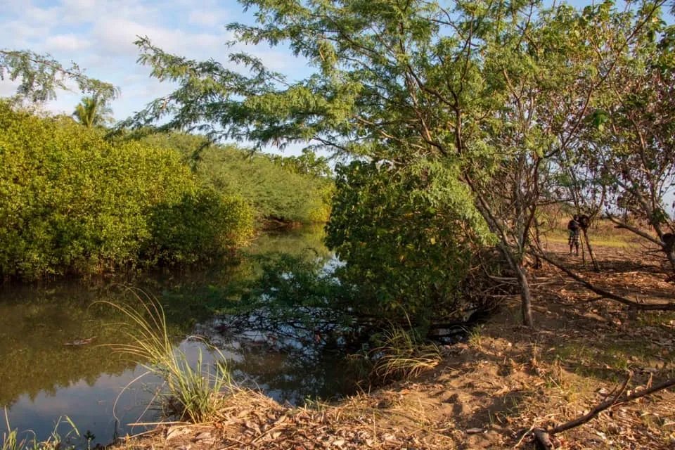 Se vende lote en la playa de lagartero, veraguas