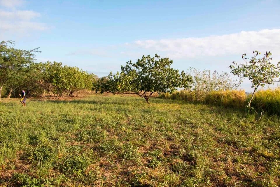 Se vende lote en la playa de lagartero, veraguas