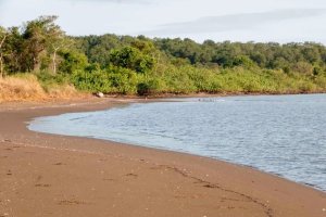 138910 - Veraguas - lots