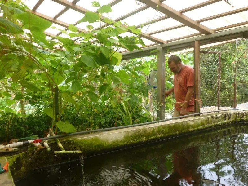 La casa perfecta para los amantes de la naturaleza con jardines de permacultura y acuaponía