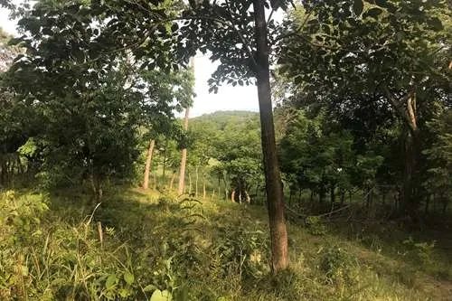 Se vende 6 lotes con vista al mar en largatero, veraguas. panamá