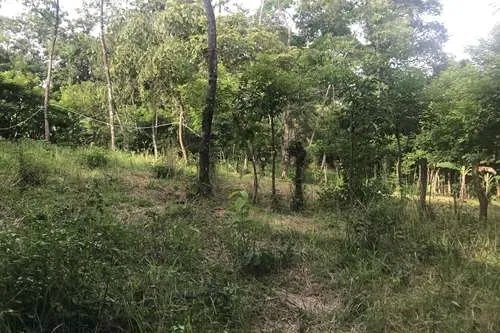 Se vende 6 lotes con vista al mar en largatero, veraguas. panamá