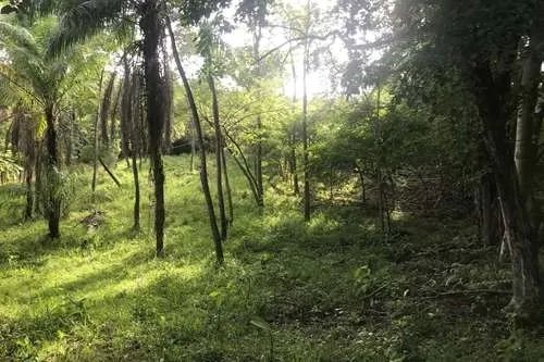 Se vende 6 lotes con vista al mar en largatero, veraguas. panamá