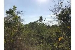 Se vende 1 hectárea en santa catalina, veraguas. panamá.