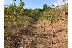 Se vende 1 hectárea en santa catalina, veraguas. panamá.
