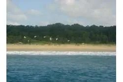 Se vende lote titulado frente a playa en  playa oria, pedasi, panama - arena blanca!