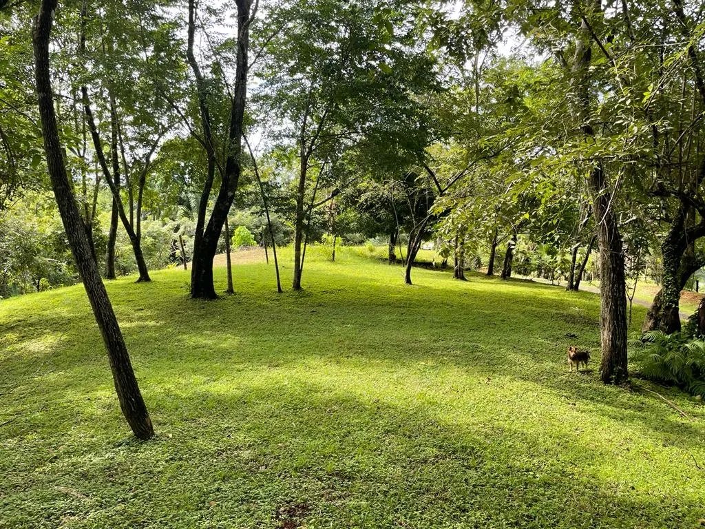 Lote en venta en santa catalina, de unos 814 metros cuadrados; en una ubicación increíble.