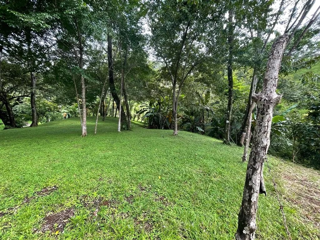 Lote en venta en santa catalina, de unos 814 metros cuadrados; en una ubicación increíble.
