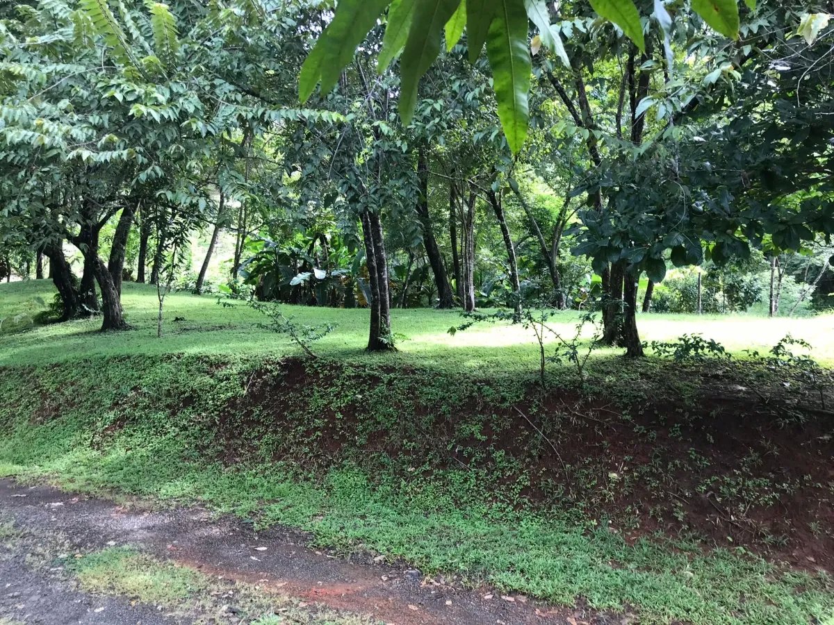 Lote en venta en santa catalina, de unos 814 metros cuadrados; en una ubicación increíble.