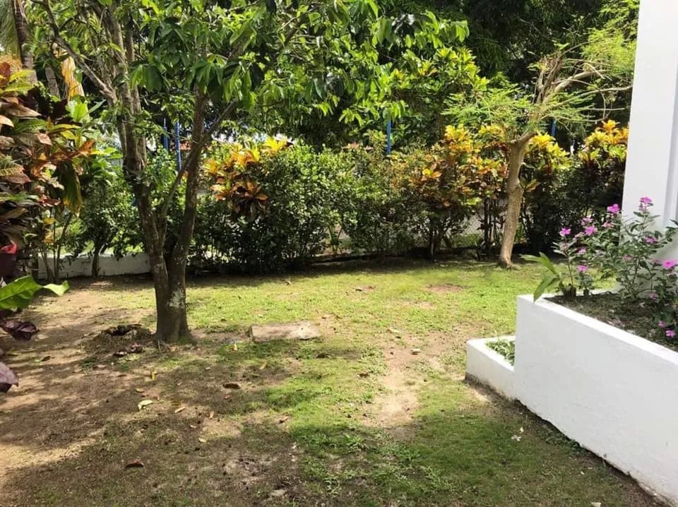 Se alquila casa de 2 habitaciones en el palmar, san carlos, panama oeste