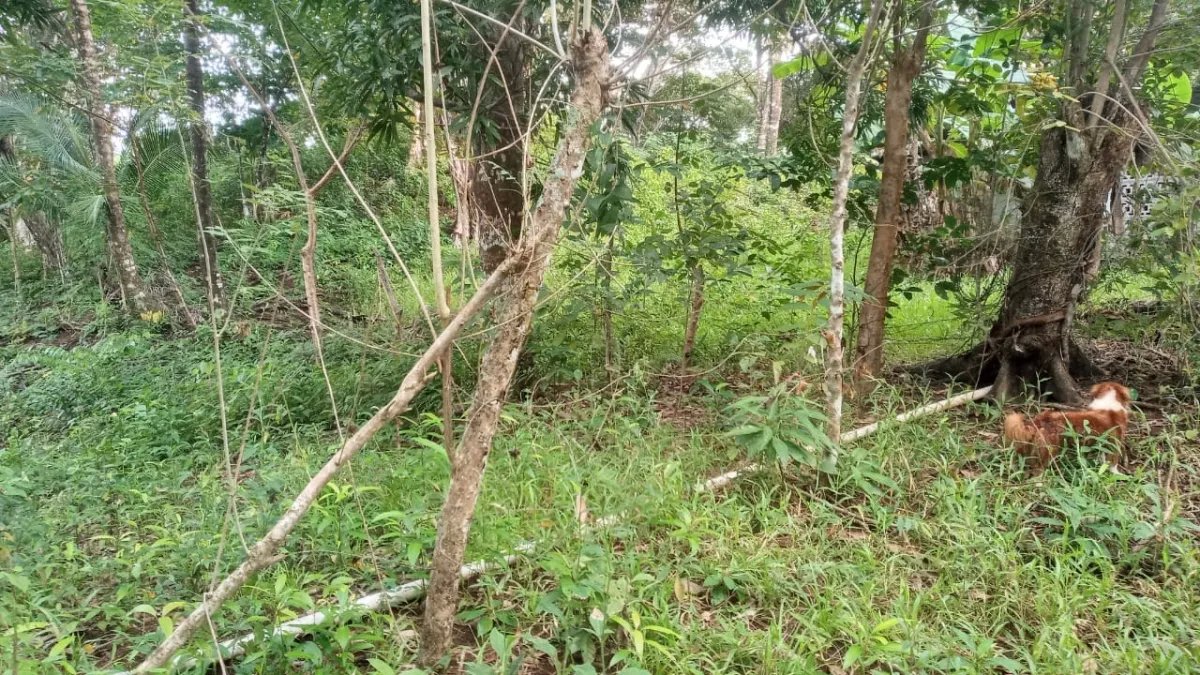Lote en venta en veraguas, santa catalina.