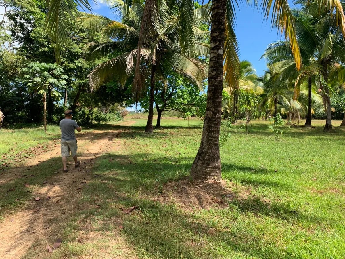 Se vende lote de 2600 metros cuadrados, lago bay, veraguas; cerca de s...