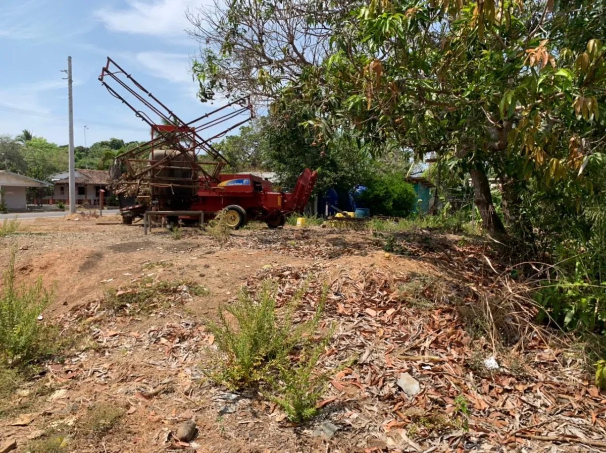 Se vende lote de 500 metros cuadrados en la localidad de pedasi, provincia de los santos.