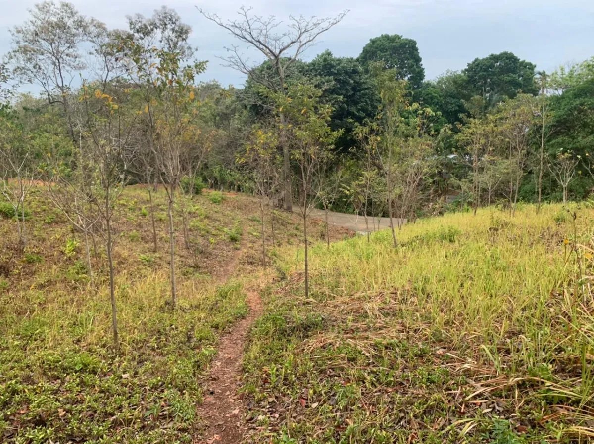 Lote en venta en santa catalina, veraguas. de 2700 metros cuadrados.