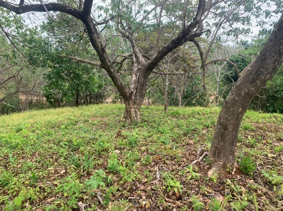 Lote en venta en santa catalina, veraguas. de 2700 metros cuadrados.