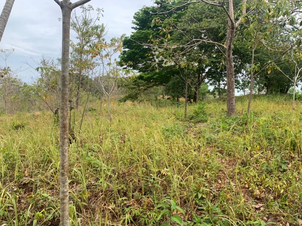 Lote en venta en santa catalina, veraguas. de 3200 metros cuadrados.
