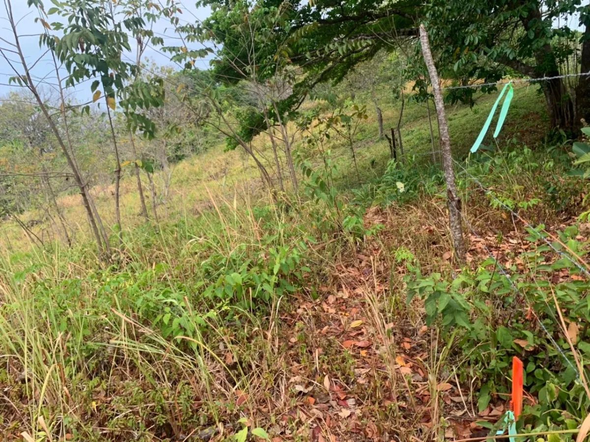 Lote en venta en santa catalina, veraguas. de 3200 metros cuadrados.
